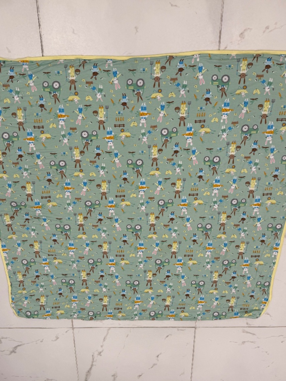 Little Sleepies Blanket